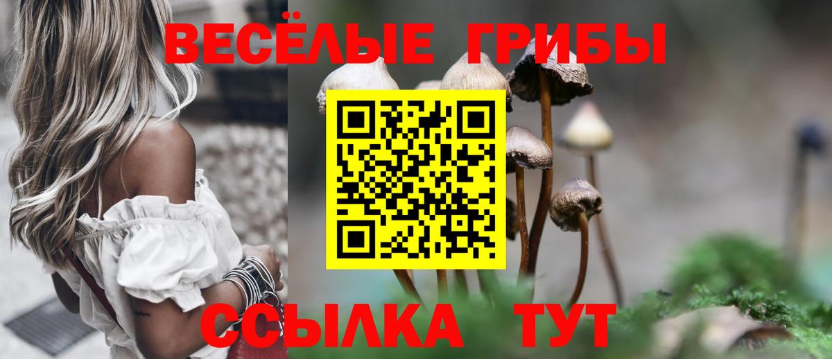 Москва  Псилоцибиновые грибы Psilocybe  где найти   Вход с VPN 